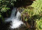 b Hilo Hawaii (16)